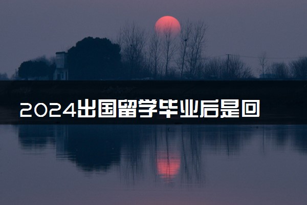 2024出国留学毕业后是回国好还是留在国外好