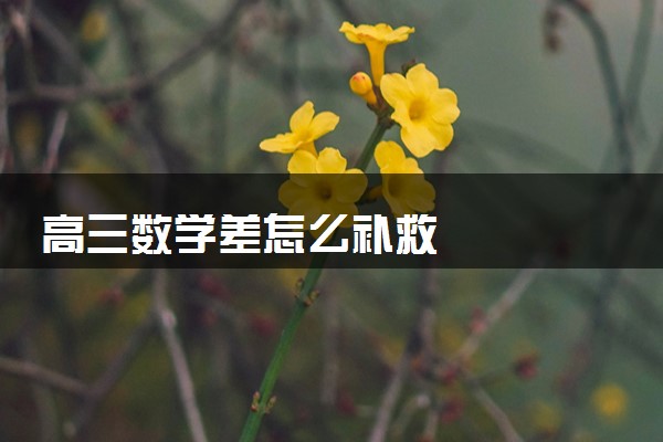 高三数学差怎么补救