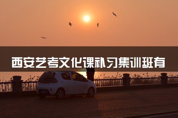 西安艺考文化课补习集训班有哪些