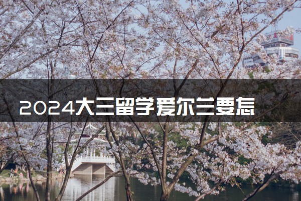 2024大三留学爱尔兰要怎么准备 需要多少费用