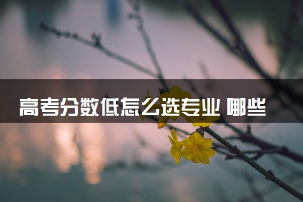 高考分数低怎么选专业 哪些专业适合报考