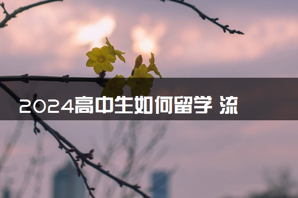 2024高中生如何留学 流程是什么