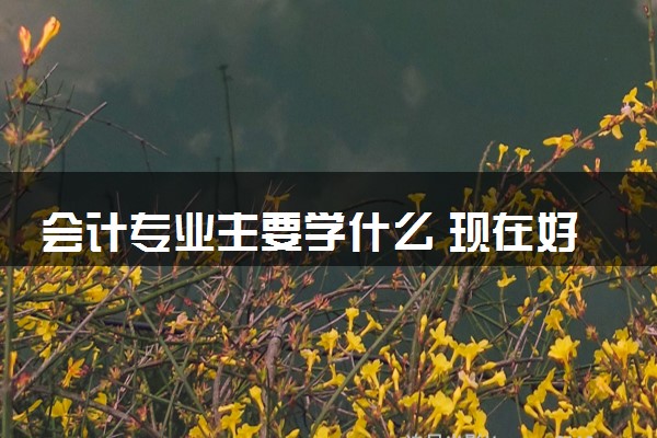 会计专业主要学什么 现在好就业吗