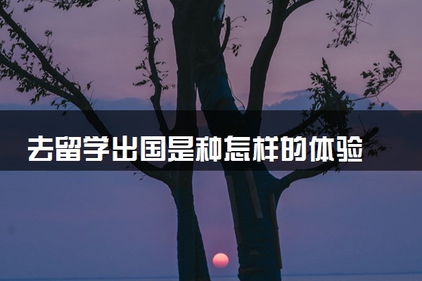 去留学出国是种怎样的体验 回国好就业吗