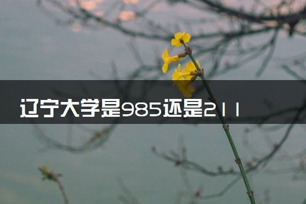 辽宁大学是985还是211 学校怎么样
