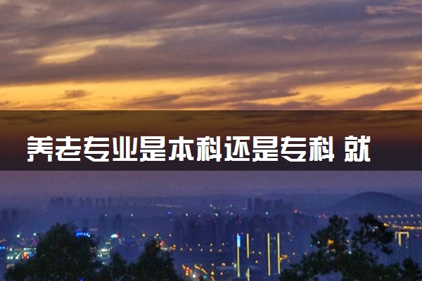 养老专业是本科还是专科 就业前景好吗