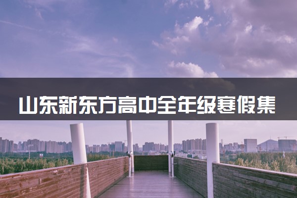 山东新东方高中全年级寒假集训营招生啦！