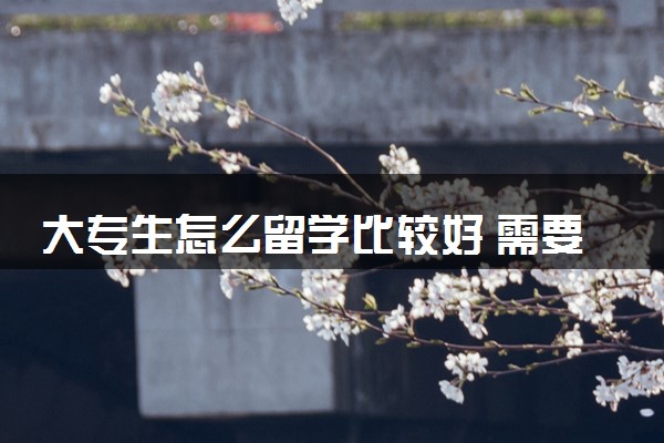大专生怎么留学比较好 需要什么条件