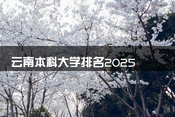云南本科大学排名2025 哪些院校实力强