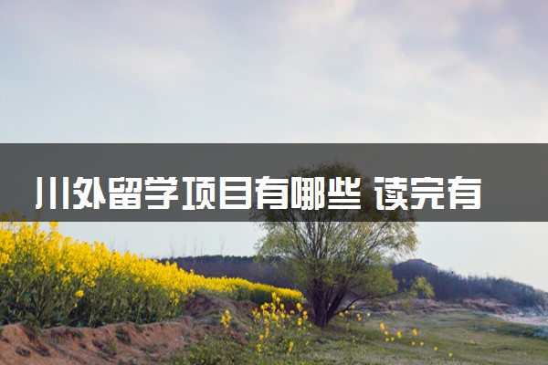 川外留学项目有哪些 读完有什么用