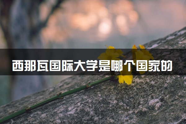 西那瓦国际大学是哪个国家的 是什么档次
