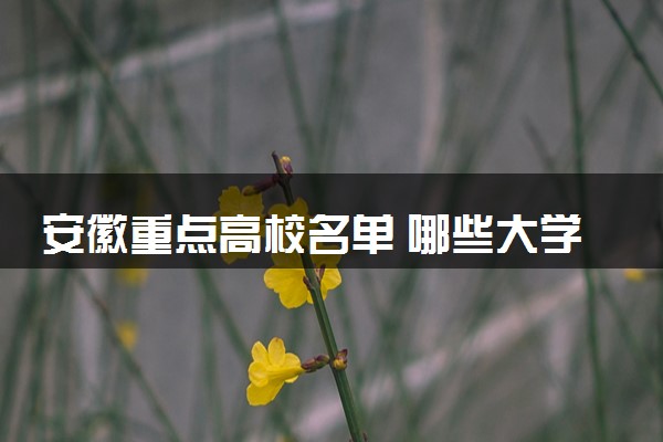 安徽重点高校名单 哪些大学值得报考