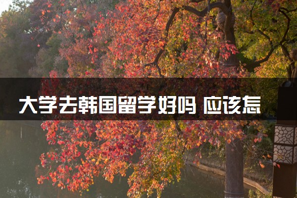 大学去韩国留学好吗 应该怎么做