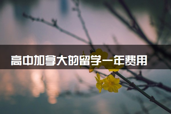 高中加拿大的留学一年费用 大概需要多少钱