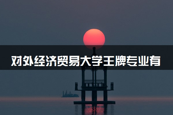对外经济贸易大学王牌专业有哪些 比较好的专业推荐