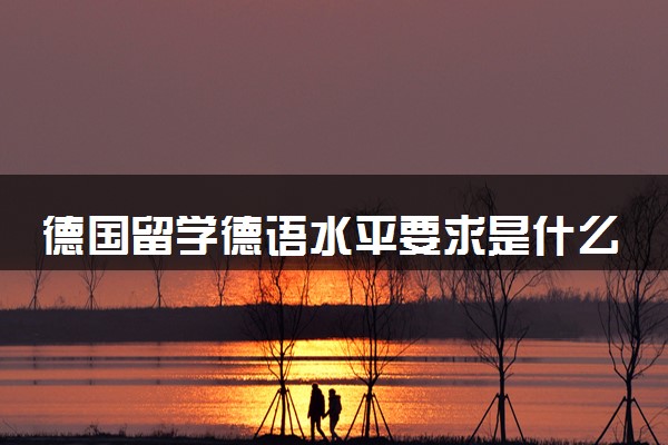 德国留学德语水平要求是什么 考雅思还是托福