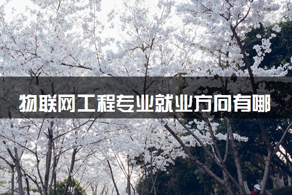 物联网工程专业就业方向有哪些 发展前景如何