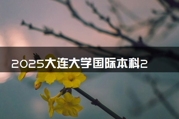 2025大连大学国际本科2+2英国留学院校及专业