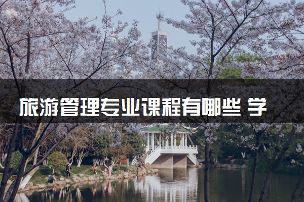 旅游管理专业课程有哪些 学习难度大吗