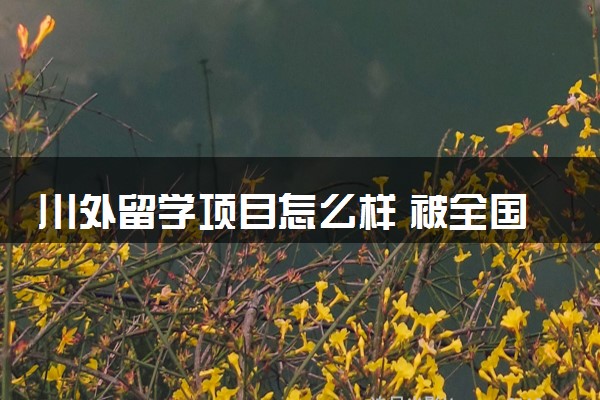 川外留学项目怎么样 被全国认可吗
