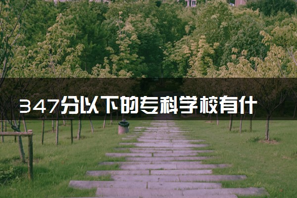 347分以下的专科学校有什么 哪些比较好值得报考
