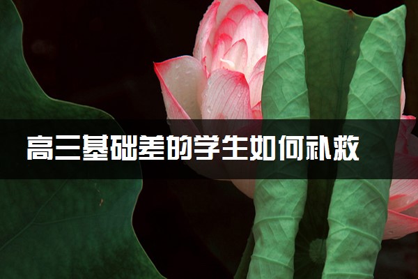 高三基础差的学生如何补救 怎么提分