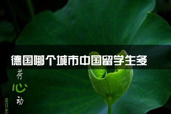 德国哪个城市中国留学生多 有哪些学校