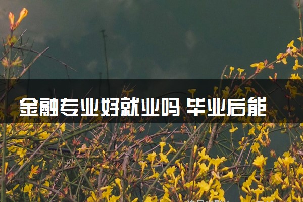 金融专业好就业吗 毕业后能做什么工作