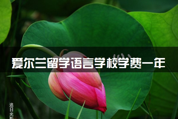 爱尔兰留学语言学校学费一年多少 含金量高吗