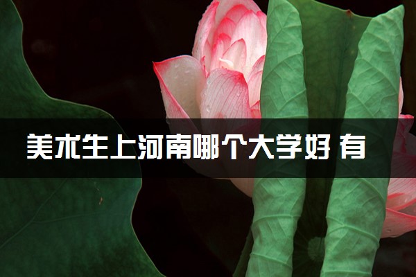 美术生上河南哪个大学好 有什么推荐
