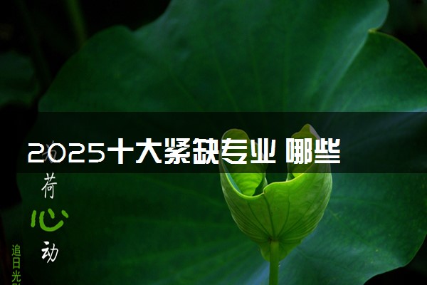 2025十大紧缺专业 哪些专业就业形势好