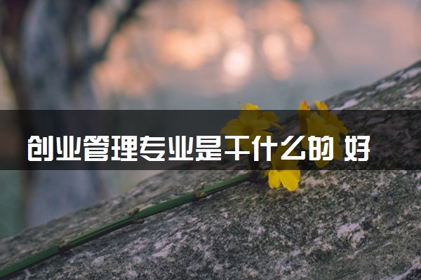 创业管理专业是干什么的 好就业吗