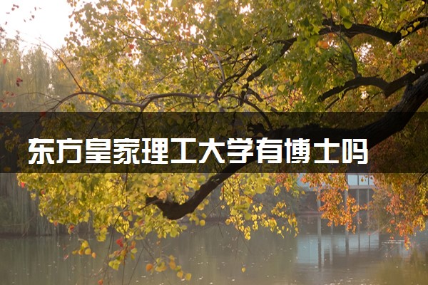东方皇家理工大学有博士吗 申请条件是什么