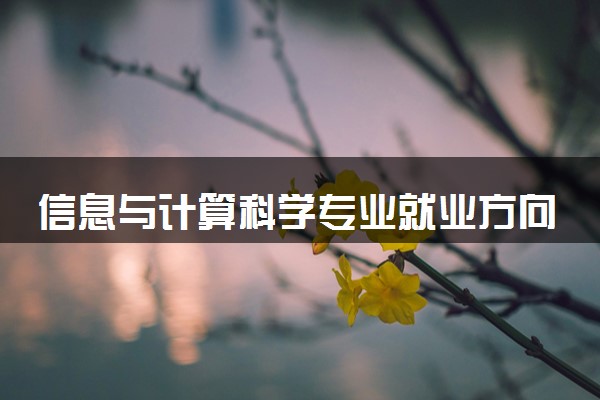 信息与计算科学专业就业方向有哪些 就业情况分析