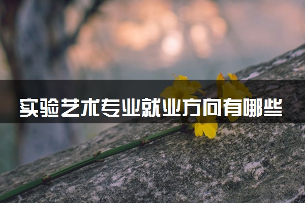 实验艺术专业就业方向有哪些 毕业后好找工作吗