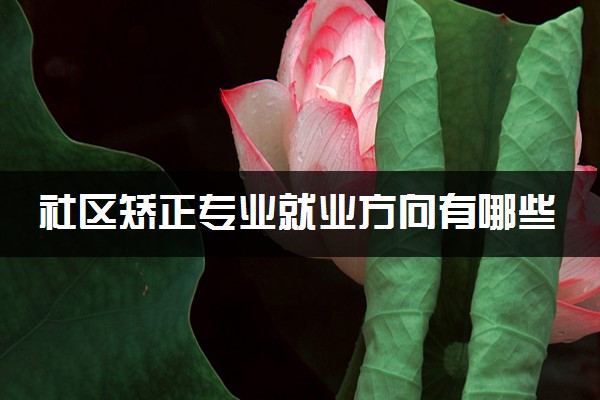社区矫正专业就业方向有哪些 未来发展前景如何