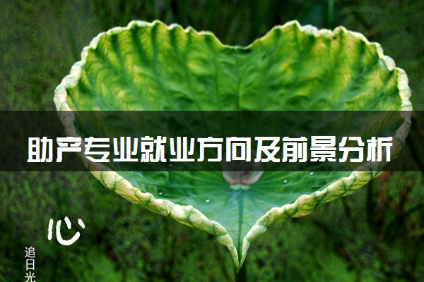 助产专业就业方向及前景分析 好不好找工作