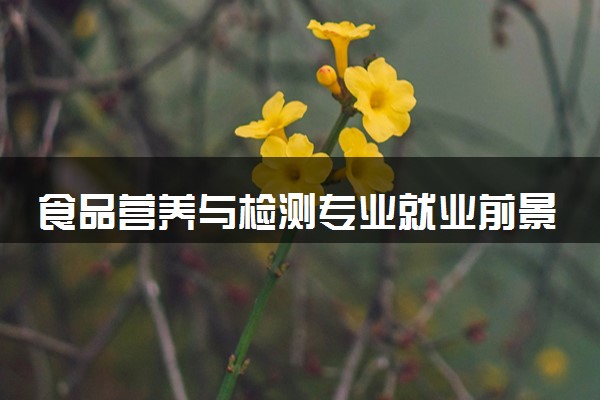 食品营养与检测专业就业前景怎么样 有什么出路