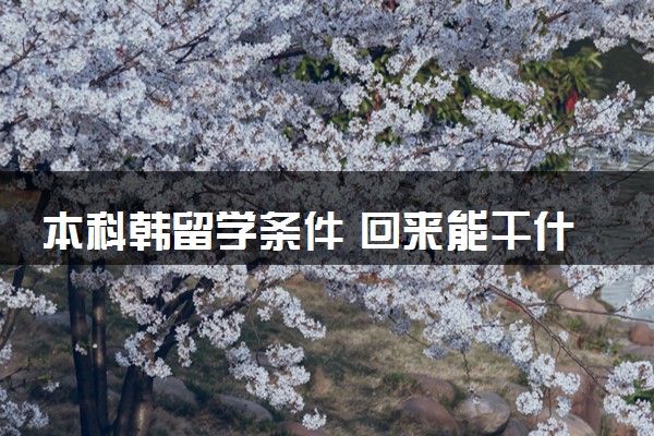 本科韩留学条件 回来能干什么