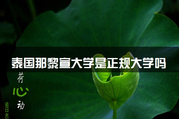 泰国那黎宣大学是正规大学吗 靠谱吗