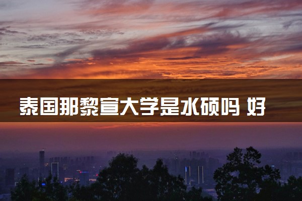 泰国那黎宣大学是水硕吗 好申请吗