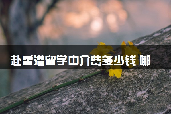 赴香港留学中介费多少钱 哪几家比较好