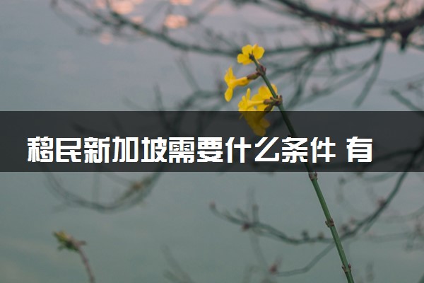 移民新加坡需要什么条件 有哪些途径
