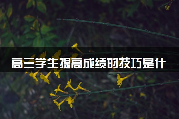 高三学生提高成绩的技巧是什么 怎么高效复习