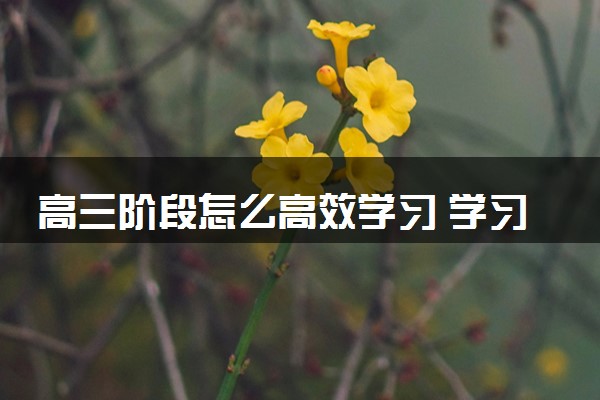 高三阶段怎么高效学习 学习方法与技巧有哪些