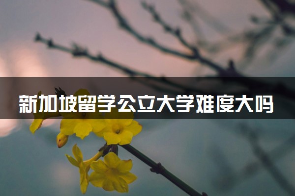 新加坡留学公立大学难度大吗 申请条件有哪些