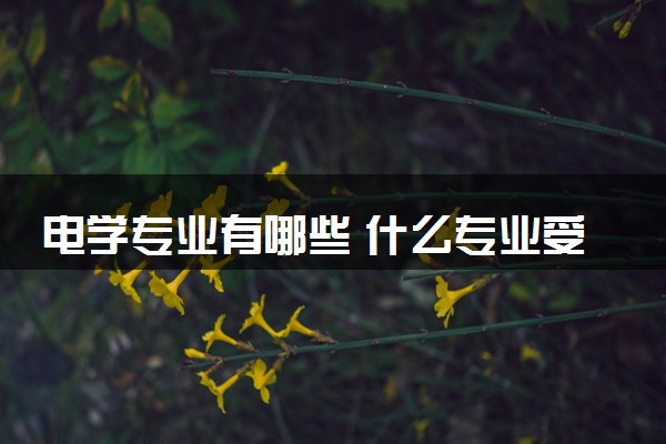 电学专业有哪些 什么专业受国家电网青睐