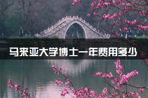 马来亚大学博士一年费用多少 有补助吗