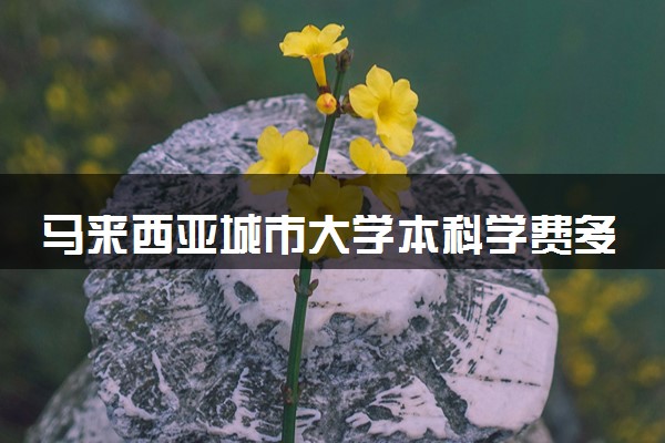 马来西亚城市大学本科学费多少 有奖学金吗