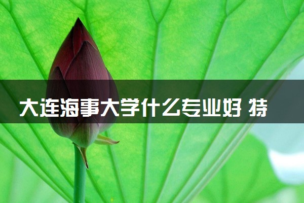 大连海事大学什么专业好 特色专业推荐